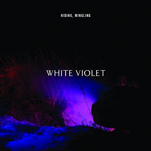 White Violet Hiding Mingling 
