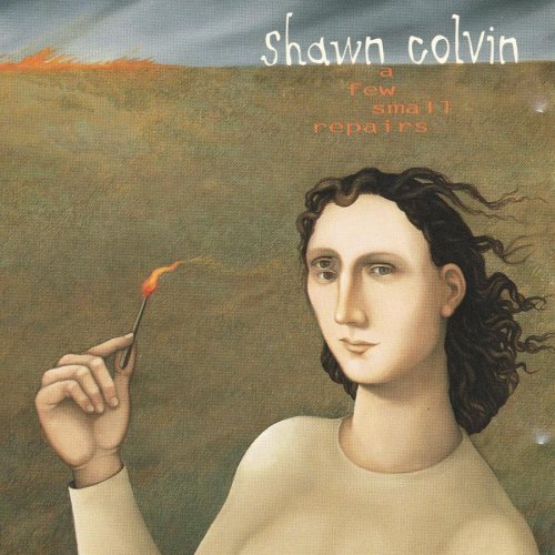 Colvin Shawn Few Small Repairs 