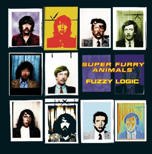 Super Furry Animals/Fuzzy Logic