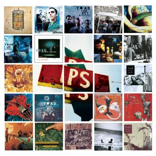 Toad The Wet Sprocket/P.S. (A Toad Retrospective)