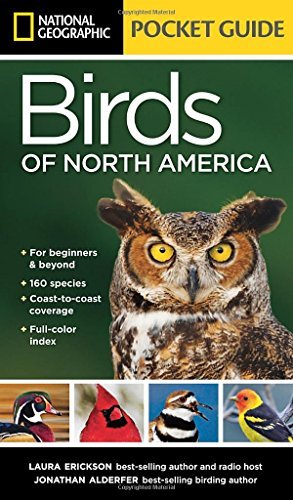 Laura Erickson/National Geographic Pocket Guide To The Birds Of N