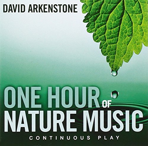 David Arkenstone One Hour Of Nature Music For 