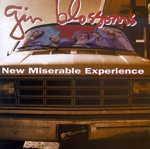 Gin Blossoms/New Miserable Experience