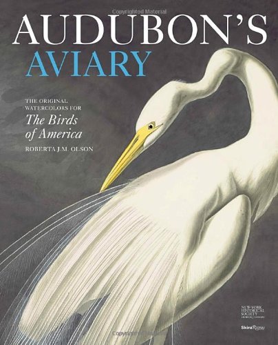 Roberta J. M. Olson/Audubon's Aviary@The Original Watercolors For The Birds Of America