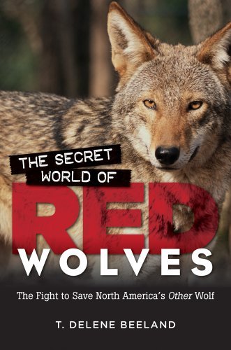 T. Delene Beeland The Secret World Of Red Wolves The Fight To Save North America's Other Wolf 