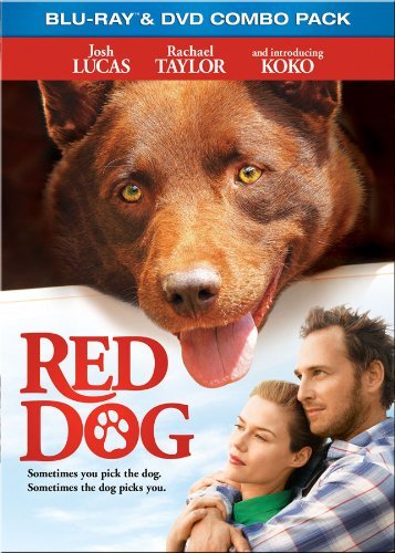 Red Dog Lucas Taylor Koko Blu Ray Ws Pg Incl. DVD 