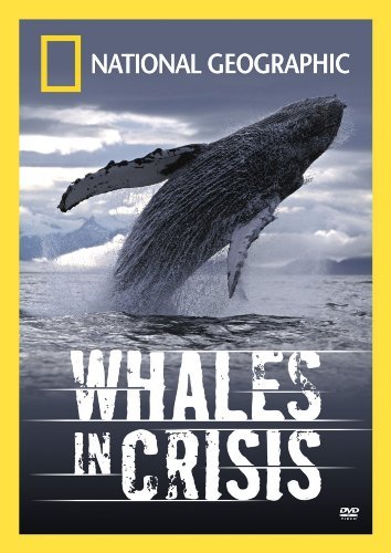 Whales In Crisis/National Geographic@Nr