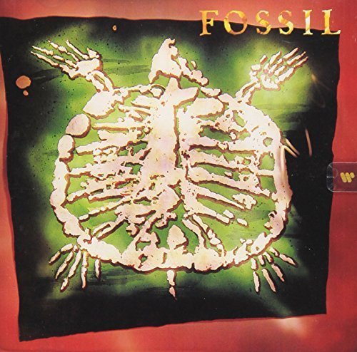 Fossil/Fossil