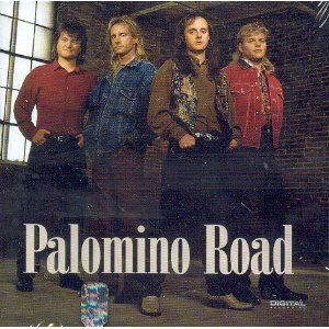 Palomino Road/Palomino Road