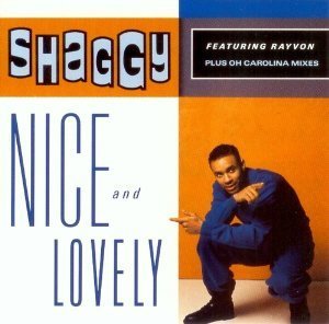Shaggy/Nice And Lovely