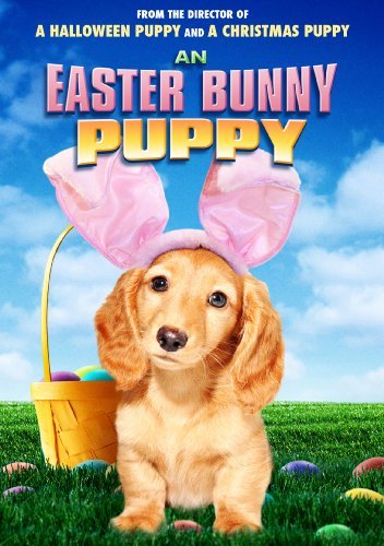 Easter Bunny Puppy Easter Bunny Puppy Ws Nr 