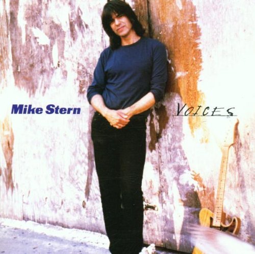 Mike Stern/Voices