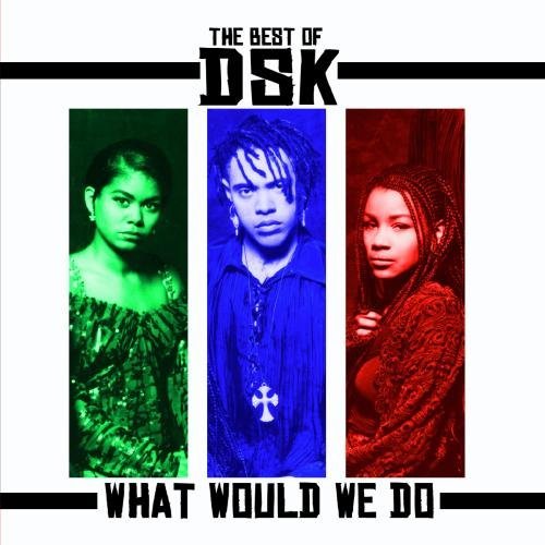 Dsk/Best Of-What Would We Do@Cd-R