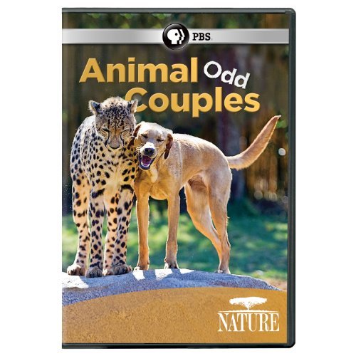 Animal Odd Couples Nature Nature 
