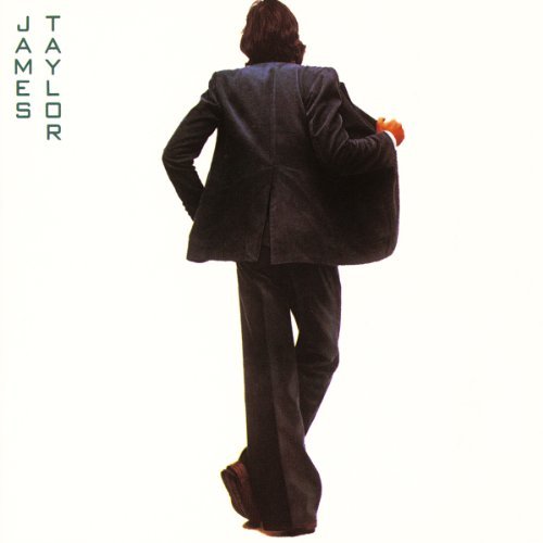 James Taylor/In The Pocket