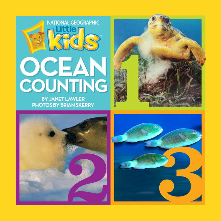 Janet Lawler Ocean Counting 