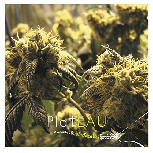Plateau/Kushbush/Music For Grass Bars