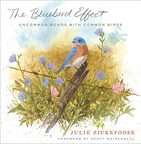 Julie Zickefoose The Bluebird Effect Uncommon Bonds With Common Birds 