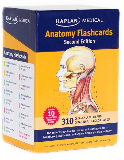 Stephanie Mccann Anatomy Flashcards 0002 Edition; 
