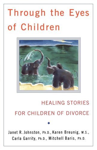 Johnston,Janet R. (EDT)/ Bruenig,Karen/ Garrity,/Through the Eyes of Children