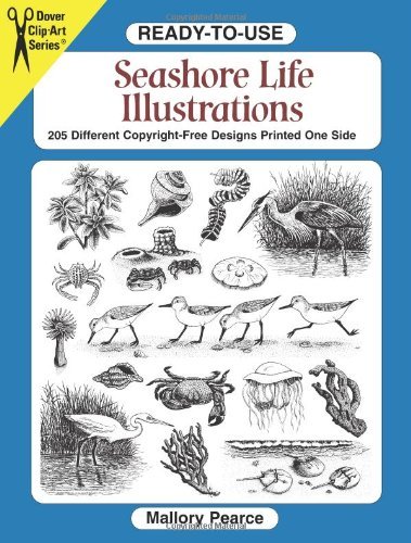Mallory Pearce Ready To Use Seashore Life Illustrations 230 Different Copyright Free Designs Printed One 