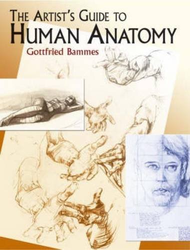 Gottfried Bammes The Artist's Guide To Human Anatomy 