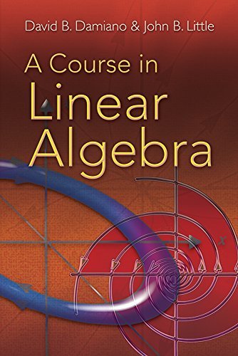 David B. Damiano A Course In Linear Algebra 