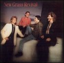 New Grass Revival/Hold To A Dream