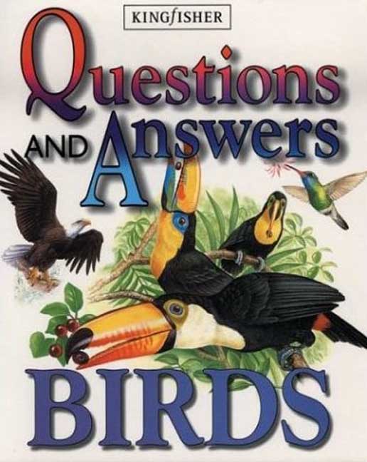Fergus Collins Q & A Birds Pa 