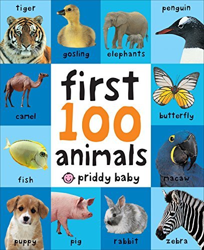 Priddy Bicknell Books (COR)/First 100 Animals@BRDBK REP