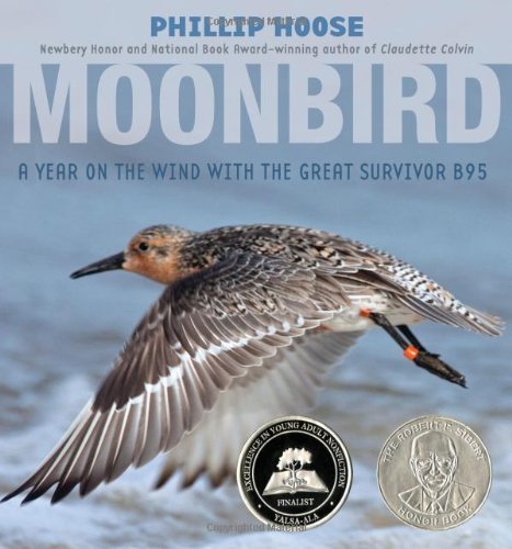 Phillip Hoose/Moonbird@ A Year on the Wind with the Great Survivor B95