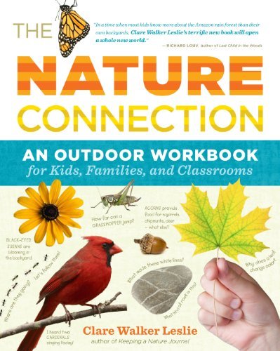 Clare Walker Leslie The Nature Connection An Outdoor Workbook For Kids Families And Class 