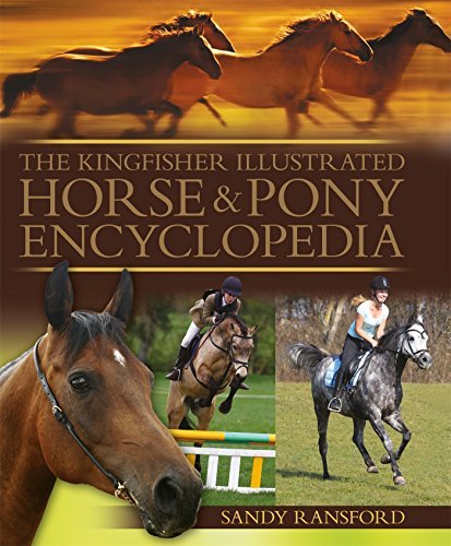 Sandy Ransford The Kingfisher Illustrated Horse And Pony Encyclop 