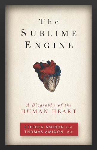 Stephen Amidon/The Sublime Engine@ A Biography of the Human Heart