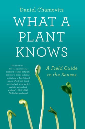 Daniel Chamovitz What A Plant Knows A Field Guide To The Senses 