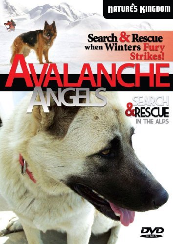 Avalanche Angels/Search & Rescue In The Alps