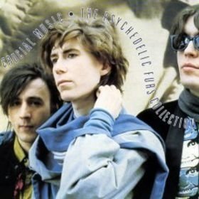 Psychedelic Furs Crucial Music Collection 