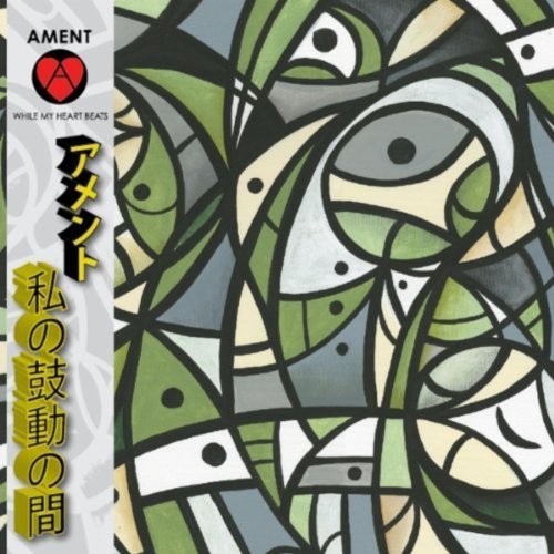 Jeff Ament/While My Heart Beats