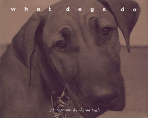 Sharon Beals/What Dogs Do
