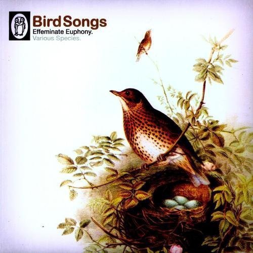 B-Music/Bird Songs@10 Inch Vinyl