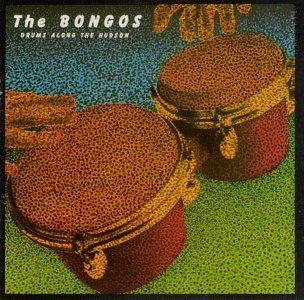 Bongos/Drums Along The Hudson