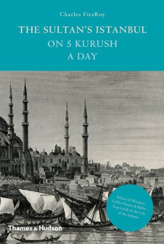 Charles Fitzroy The Sultan's Istanbul On 5 Kurush A Day 