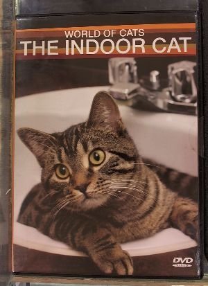 World Of Cats/Indoor Cat