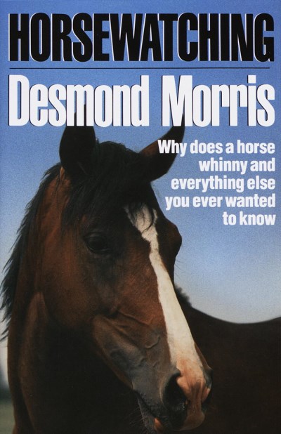 Desmond Morris/Horsewatching@Why Does A Horse Whinny & Everything Else You Ever Wanted To Know