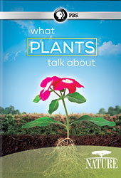 What Plants Talk About Nature Nr 