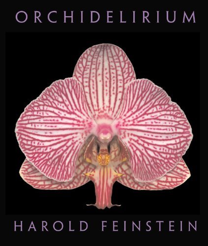 Harold Feinstein Orchidelirium 