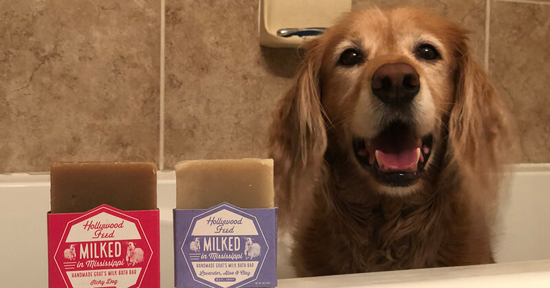 dog Grooming Products