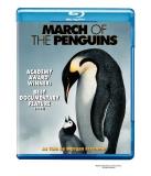 March Of The Penguins March Of The Penguins Blu Ray Ws Nr 