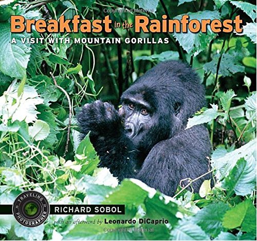 Richard Sobol Breakfast In The Rainforest A Visit With Mountain Gorillas 