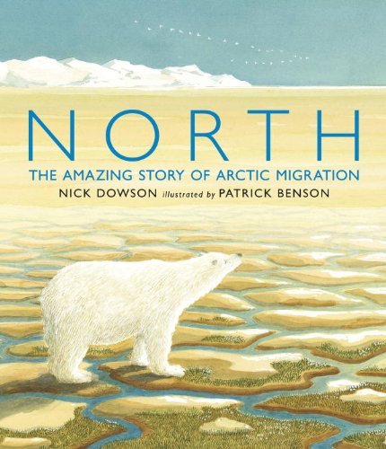 Nick Dowson/North@ The Amazing Story of Arctic Migration